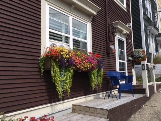 The Narrows B&B St. John's Esterno foto